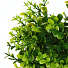 Цветок искусственный декоративный Трава в кашпо, 18х6.5 см, Y4-7901 - фото 2