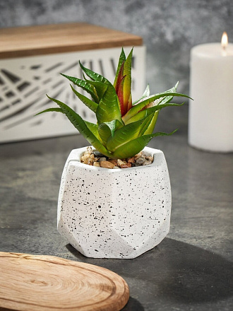 Цветок искусственный декоративный Суккулент, в кашпо, 11х10х13.5 см, Y4-6919