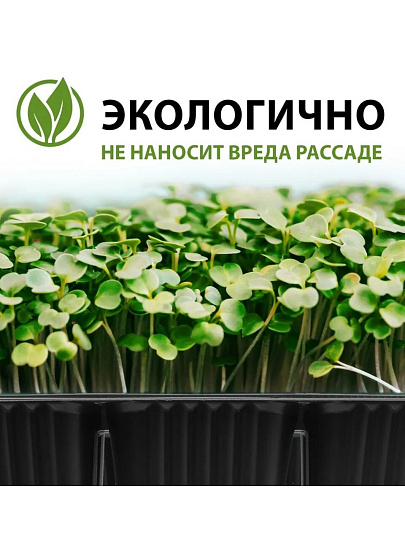 Кассета рассадная 5 шт, 180х135х60 мм, 6 ячеек, ГазонCity