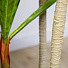 Дерево искусственное декоративное Пальма, в кашпо, 170 см, Y4-3376 - фото 3