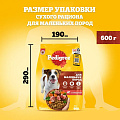 Корм для животных Pedigree, 600 г, для взрослых собак маленьких пород, сухой, говядина, 7585 - фото 7