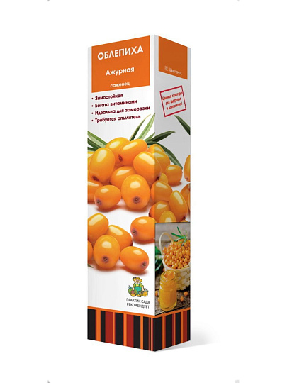 Саженцы Облепиха, Ажурная, ранняя, цилиндрическая, ярко-оранжевая