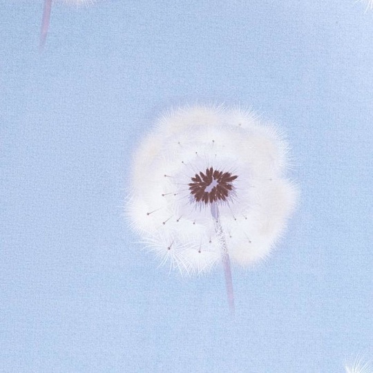 Постельное бельё евро &quot;Этель&quot; Одуванчики пододеяльник 200х217 см+наволочка 70*70 см-2 шт, 5437687