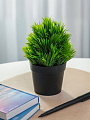 Цветок искусственный декоративный Трава, в кашпо, 19х6.5 см, A300097