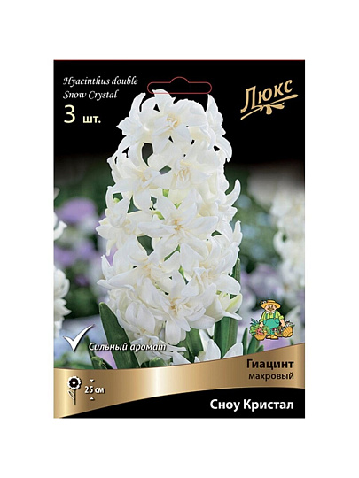 Луковицы Гиацинт махровый, Сноу Кристал, 15-16/К, 3 шт