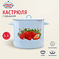 Кастрюля эмалированная сталь, 5.5 л, крышка сталь, петля, с декором, цилиндрическая, Сибирские товары, С1617.СГ, серо-голубая