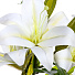 Цветок искусственный Лилия, 57 см, белый, Y4-6931 - фото 2