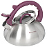 Чайник нержавеющая сталь, 3 л, со свистком, матовый, логотип меняет цвет, ручка с силиконовым покрытием, Daniks, DSC-8802 - фото 3