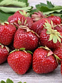 Саженцы Земляника садовая, Дэли, 5 шт, 814511 - фото 2