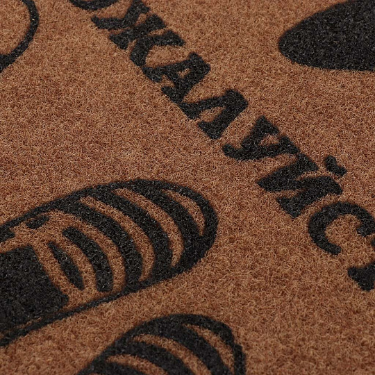 Коврик грязезащитный придверный, 45х75 см, прямоугольный, Разувайтесь пожалуйста, Familia, 37-913