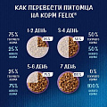 Корм для животных Феликс, Аппетитные кусочки, 75 г, для взрослых кошек, кусочки в желе, лосось, пауч, 12512726 - фото 6