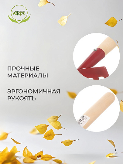 Грабли прямые, 6 зуб, металл, 11 см, Инструм-Агро, Г-6(м), садовые, черенок деревянный, 010931