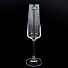 Бокал для шампанского, 160 мл, стекло, 6 шт, Bohemia, Corvus Naomi, 1SC69/160 - фото 2