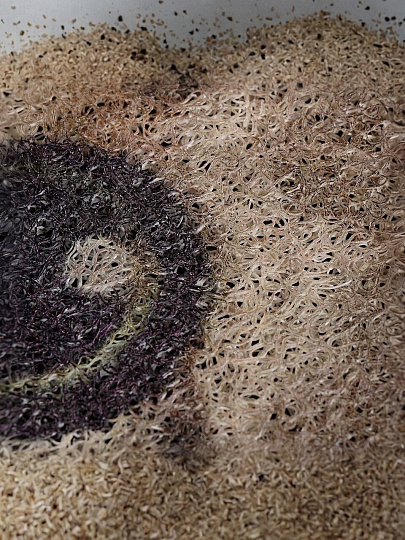 Коврик грязезащитный придверный, 50х80 см, LAPSHA, Dekorelle, 121202