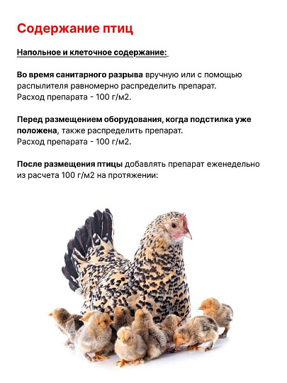 Биосостав ЭкоЛето, Осушитель подстилки, 3 л, для кур, поросят