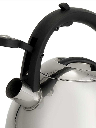 Чайник нержавеющая сталь, 2.7 л, со свистком, зеркальный, Alpenkok, индукция, AK-535