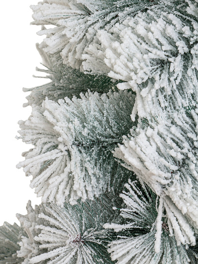 Елка новогодняя напольная, 180 см, Крымская, сосна, хвоя леска, заснеженная, Y4-8417