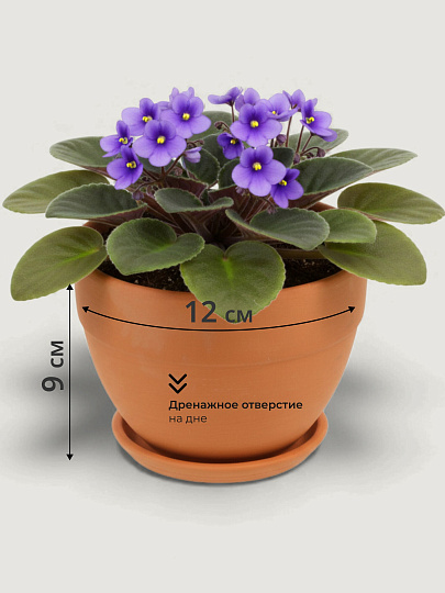 Горшок керамика, 0.5 л, универсальный, овал, коричневый, Терра №2, 568852