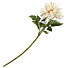 Цветок искусственный декоративный Георгин, 65 см, пудровый, Y4-5506 - фото 2