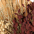 Цветок искусственный декоративный Композиция Тинги, 60 см, Y6-10345 - фото 3