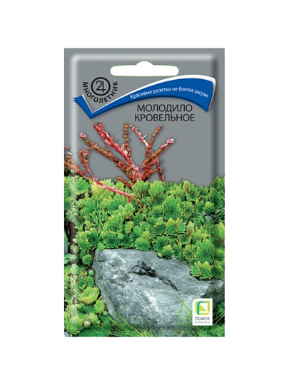 Семена Цветы, Молодило кровельное, 0.01 г, цветная упаковка, Поиск