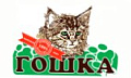 Гошка