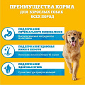 Корм для животных Pedigree, 600 г, для взрослых собак, сухой, говядина, 7580 - фото 3