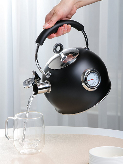 Чайник нерж, 3 л, со свист, нержавеющая сталь, с термометром, Daniks, GS-04436B