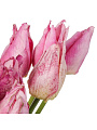 Цветок искусственный декоративный Тюльпаны, 45 см, фиолетовый, Y6-10411 - фото 2