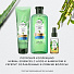 Шампунь Herbal Essences, Алоэ и бамбук, для сухих и поврежденных волос, 380 мл - фото 6