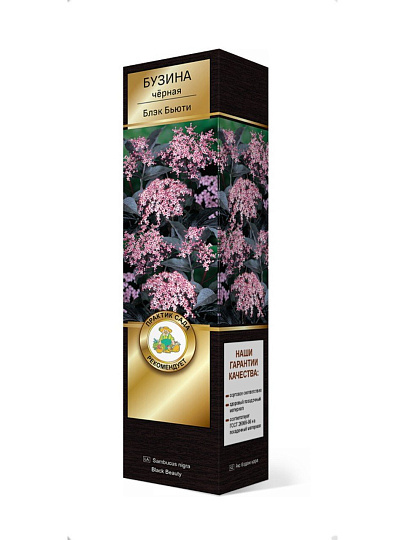 Саженцы Бузина черная, Блэк Бьюти, 751135