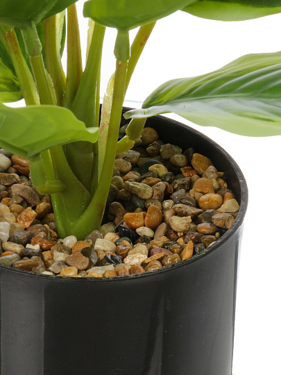 Цветок искусственный декоративный Фикус в кашпо, 36 см, в ассортименте, Y4-11111