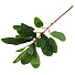 Цветок искусственный декоративный Ветвь, 30 см, в ассортименте, Y4-5511 - фото 3