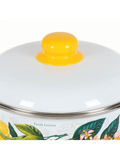 Набор посуды эмалированная сталь, 3 предмета, кастрюли 2,3,4 л, индукция, СтальЭмаль, Лимоны в цвету, 1KB051M