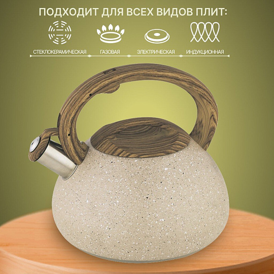 Чайник нержавеющая сталь, 3 л, со свистком, матовый, ручка бакелитовая, Alpenkok, индукция, AK-522