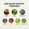 Удобрение Биомолекулы, для огорода на подоконнике, 400 мл, Удобряй - фото 2