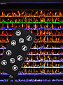 Электрокамин RealFlame, Contempo 42 Wt, Saphir 42