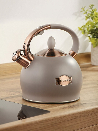 Чайник нержавеющая сталь, 2.5 л, со свистком, матовый, Daniks, индукция, мокко, PR-2303