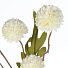 Цветок искусственный декоративный 50 см, белый, Y6-10415 - фото 2