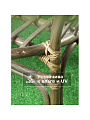 Мебель садовая Green Days, Мальдивы мини, кофейная, стол, 55х55х56 см, 2 стула, подушка, 110 кг, IND13BWG - фото 6