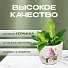 Кашпо керамика, 0.2 л, 8х6.5х6.5 см, в ассортименте, Цветы малый, Y3-1294/318492 - фото 5