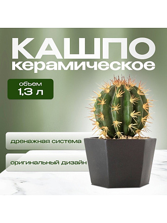 Кашпо керамика, 1.3 л, 15х11 см, шестигранник, черное, Эджес №3, 049737