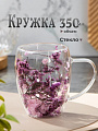Кружка стекло, 350 мл, Сухоцветы, двойные стенки, в индивидуальной упаковке, B060751