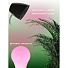 Лампочка светодиодная для растений, E27, 15 Вт, 220 В, A80, 80х153 мм, Grandy, FITO, AI-2605003 - фото 3