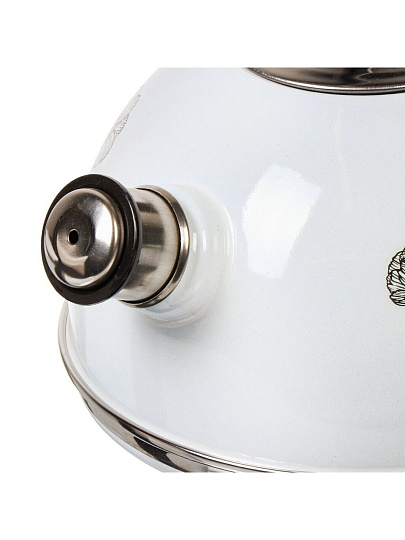 Чайник сталь, эмалированное покрытие, 2.5 л, со свистком, ручка консольная, Рубин, Космея, черно-белый, T04/25/03/41