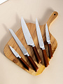 Набор ножей 6 предметов, нержавеющая сталь, рукоятка дерево, с подставкой, Daniks, Book, WFCF-0332 - фото 8