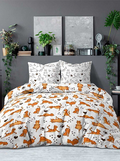 Постельное белье 2-спальный макси, простыня 240х260 см, 2 наволочки 50х70 см, пододеяльник 180х220 см, Silvano, поплин, Котойога 6053-1+6053а-1