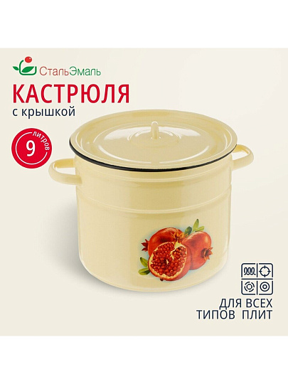 Кастрюля эмалированная сталь, 9 л, крышка сталь, СтальЭмаль, 1с200с, в ассортименте, индукция