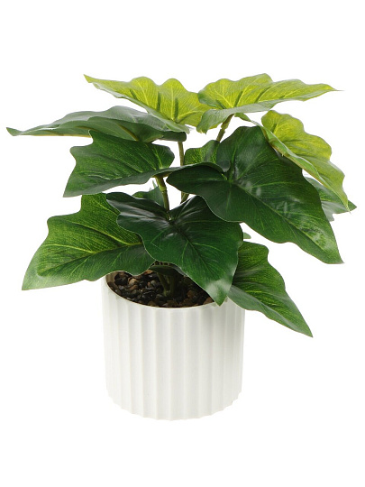 Цветок искусственный декоративный Фикус, в кашпо, 20х8 см, A300103
