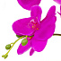 Цветок искусственный декоративный Орхидея, в кашпо, 45х13 см, розовый, Y4-4920 - фото 2